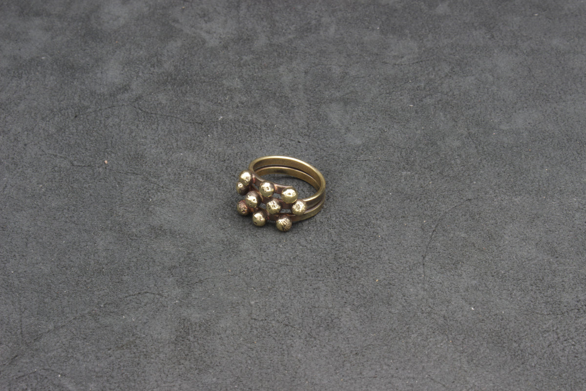 ANPI 10, Ring