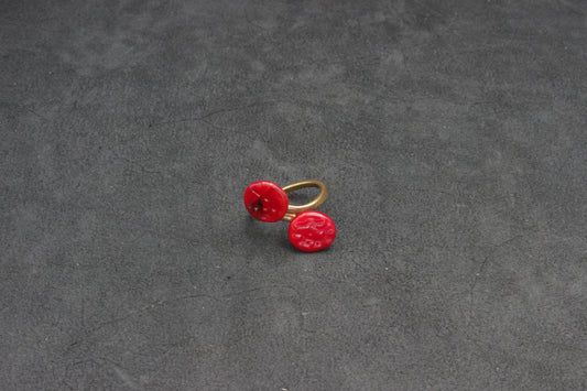 ANEV 01, Ring