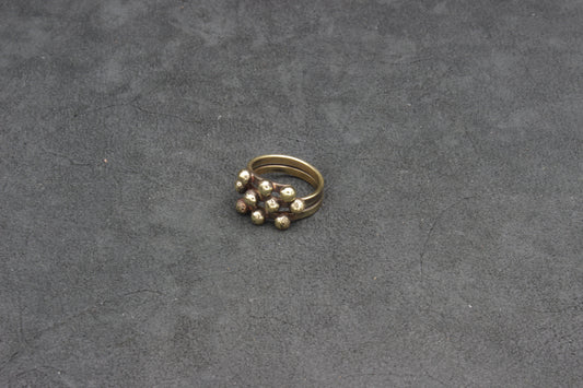 ANPI 10, Ring